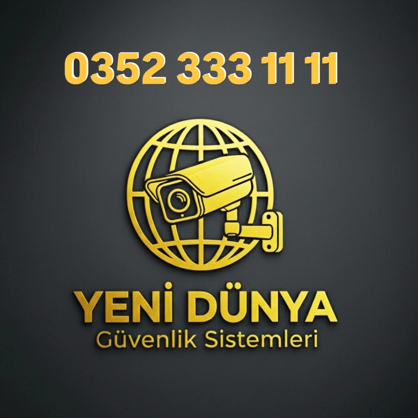 Yeni Dünya güvenlik sistemleri